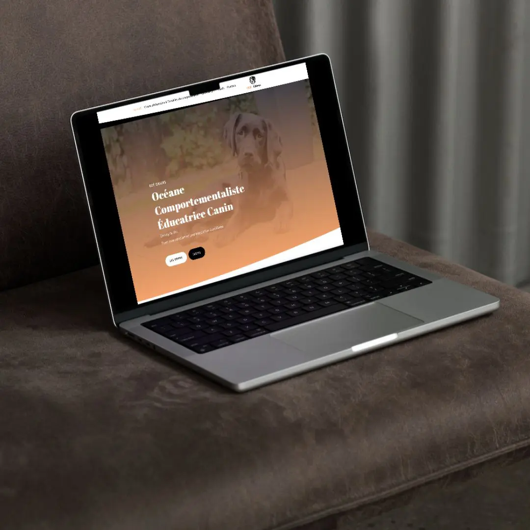 webmaster savoie